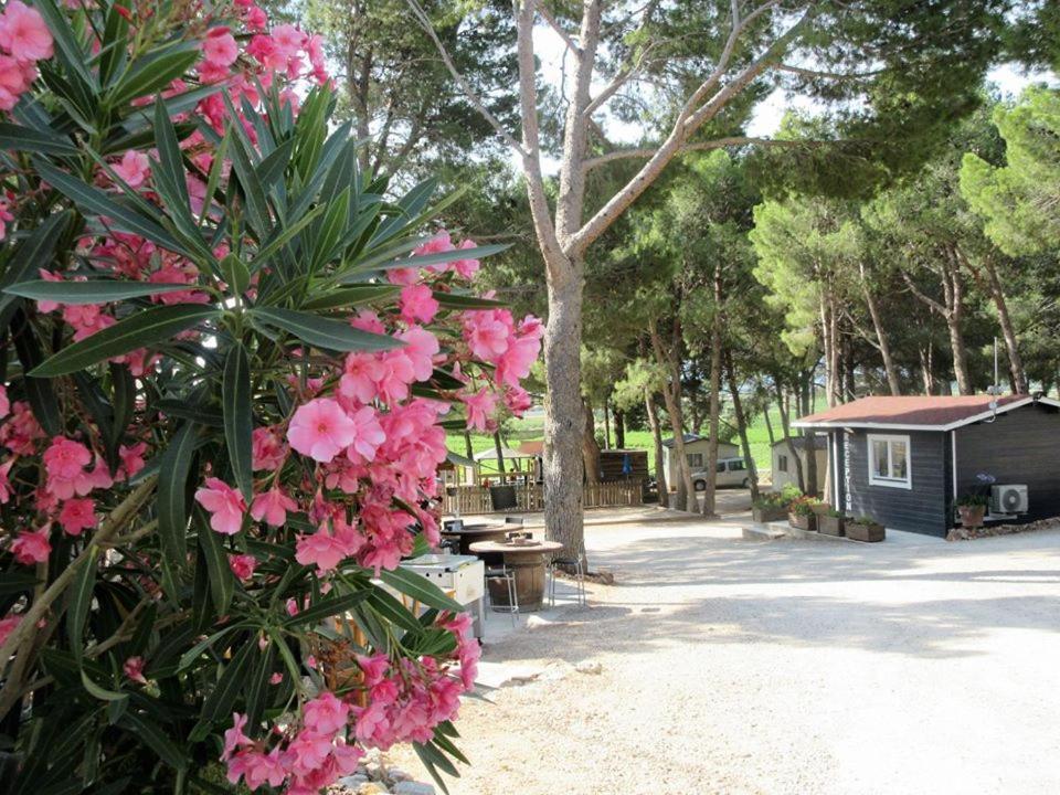 Camping Le Bois De Pins Salses-le-Chateau Exterior foto